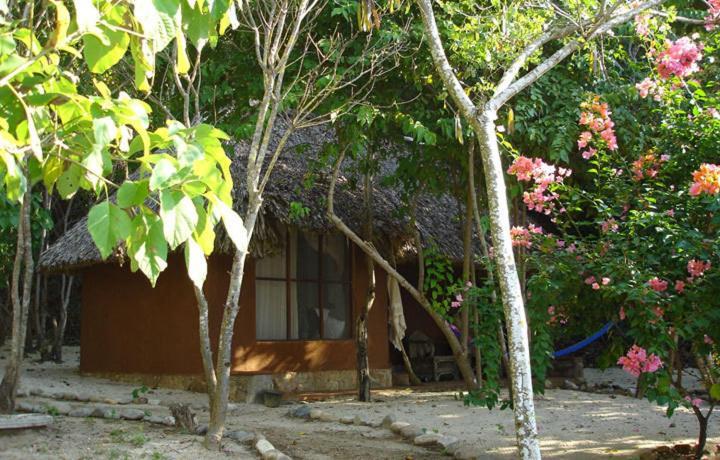 Hotel Bahía de la Luna Arroyo Cruz Quarto foto